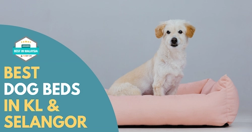 Best Dog Bed KL Selangor