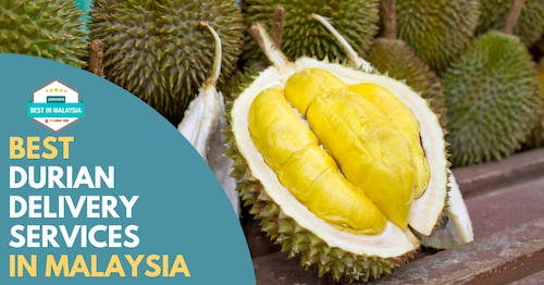 Best Durian Delivery Malaysia