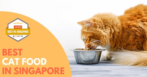 Best Cat Food Singapore