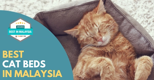 Best Cat Bed Malaysia