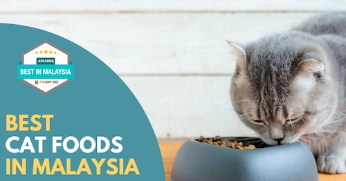 Best Cat Food Malaysia