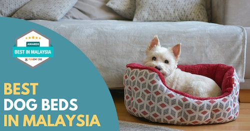 Best Dog Bed Malaysia