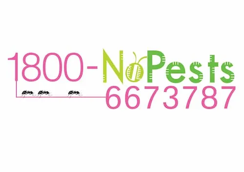 1800 - No Pests - Pest Control Singapore (Credit: 1800 - No Pests)