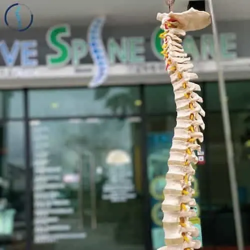 Active Spinecare Chiropractic - Chiropractor Johor Bahru