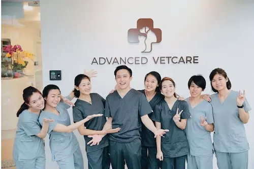 Advanced Vetcare clinic - Vet Clinic Singapore   