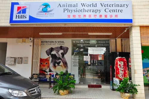 Animal World Veterinary Clinic - Vet Clinic Singapore   