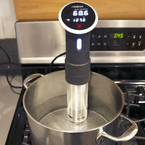 Anova Precision® Cooker (1000W) - Sous Vide Machine Singapore (Credit: Anova)