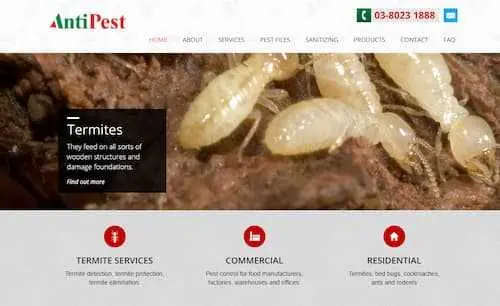 AntiPest - Termite Control Johor Bahru