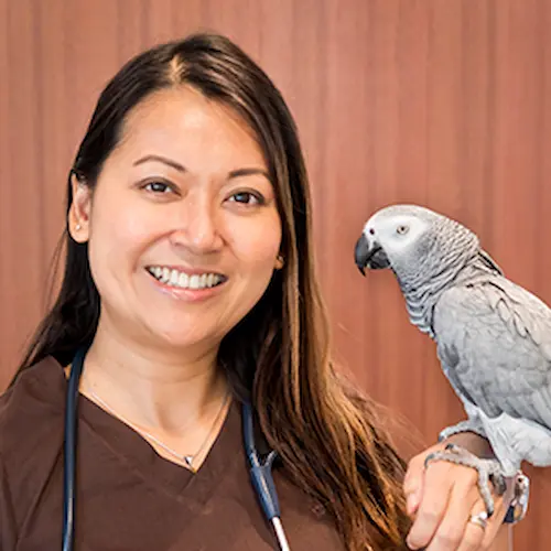 Beecroft Bird & Exotic Veterinary Clinic - Vet Clinic Singapore   