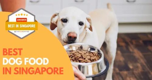 Best Dog Food Singapore