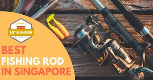 Best Fishing Rod Singapore