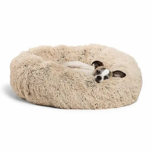 Best Friends by Sheri Luxurius Faux Donut Bed - Dog Beds Singapore