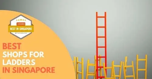 Best Ladder Singapore