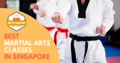 Best Martial Arts Singapore