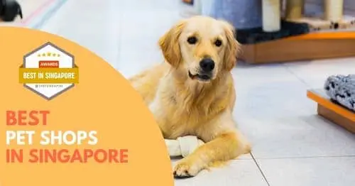 Best Pet Shop Singapore 