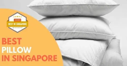 Best Pillow in Singapore