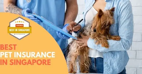 Best Singapore Pet Insurance