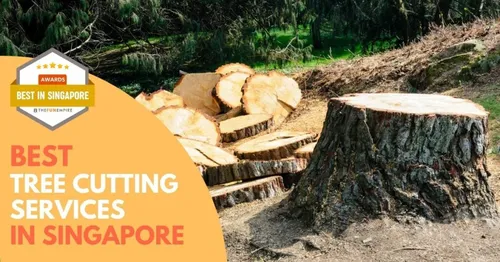 Best Tree Cutting Singapore 