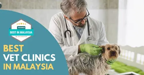 Best Vet Clinic Malaysia