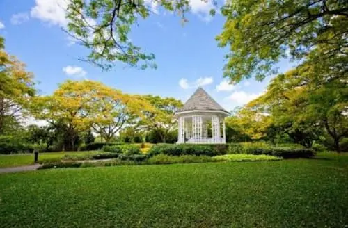 Botanic Garden - Wedding Photoshoot Locations Singapore