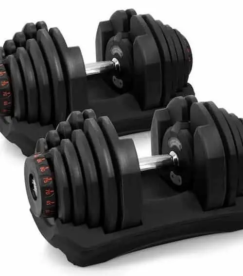 Bowflex Style Dumbbell - Dumbbells Singapore