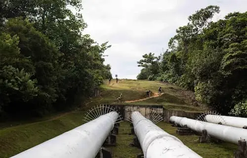 Bukit Timah Mountain Bike Trail - Free Things to Do in Singapore