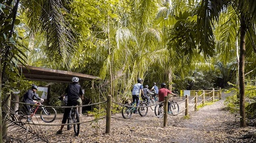 Chestnut Nature Park - Cycling Routes Singapore (Credit: Nparks)