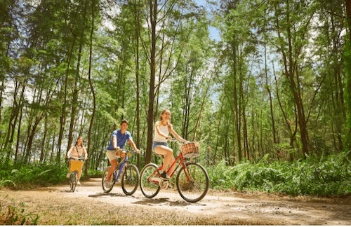 Coney Island Park - Cycling Routes Singapore (Credit: Nparks)