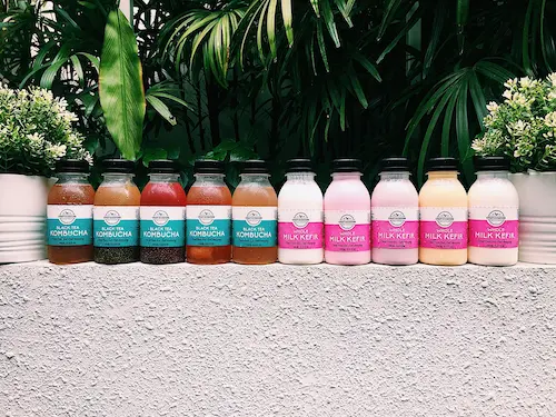 Craft & Culture -Kombucha in Singapore