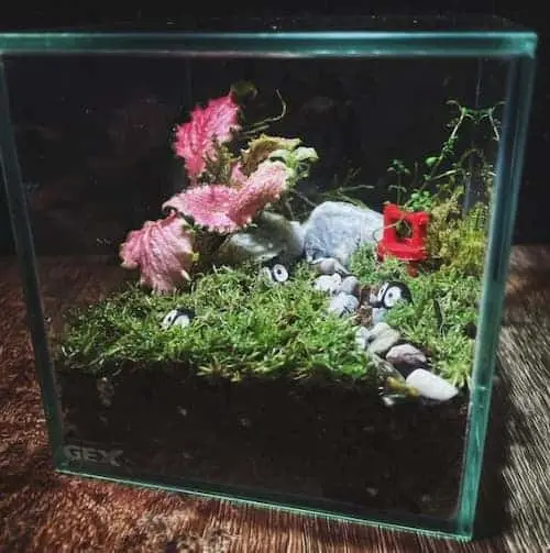 Customized Terrariums - Christmas Gift Singapore