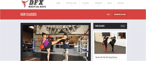 DFX Martial Arts - KickBoxing Singapore (Credit: DFX Martial Arts)