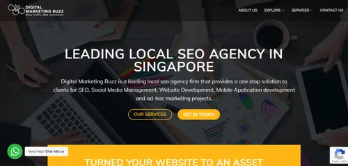 Digital Marketing Buzz - SEO Agency Singapore (Credit: Digital Marketing Buzz)