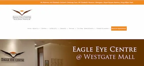 Eagle Eye Centre - Ophthalmologist Singapore  (Credit: Eagle Eye Centre) 