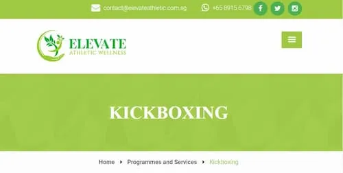 Elevate Athletic Wellness - KickBoxing Singapore (Credit: Elevate Athletic Wellness)