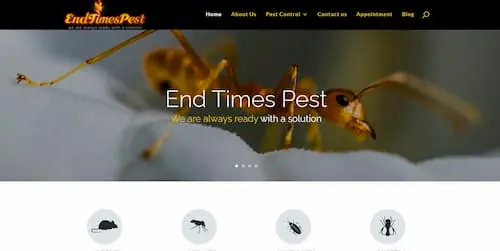 EndTimesPest Management - Bed Bug Exterminator Singapore