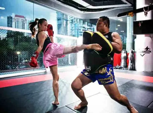 Equilibrium MMA - Muay Thai Singapore 