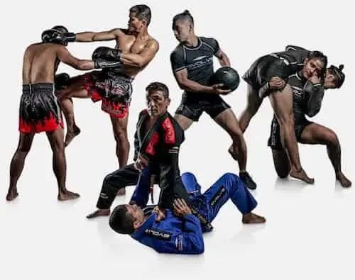 Evolve MMA - Martial Arts Singapore 