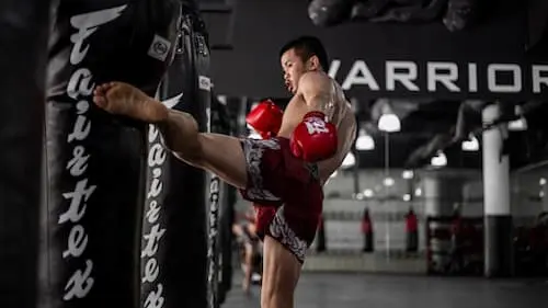 Evolve MMA - Muay Thai Singapore 