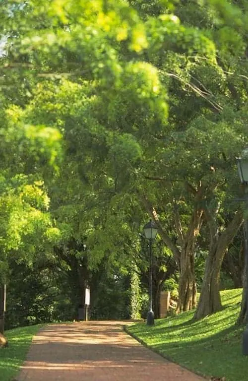 Fort Canning Park - Wedding Photoshoot Locations Singapore