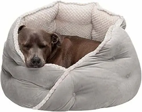 Furhaven Pet Dog Bed - Dog Beds Singapore