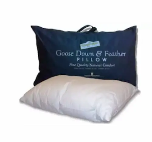 Goose Down & Feather Pillow - Best Pillow in Singapore