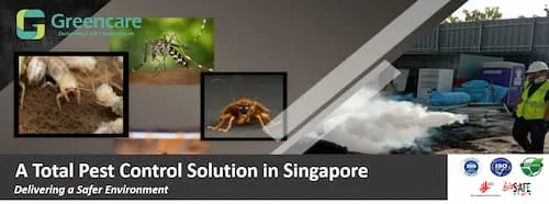 Greencare Pest Control & Cleaning - Pest Control Singapore (Credit: Greencare Pest Control & Cleaning)