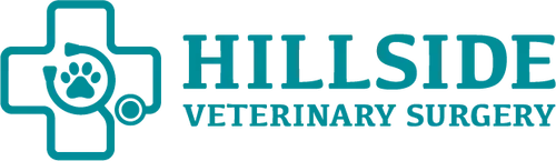 Hillside Veterinary Surgery -Vet Clinic Singapore   