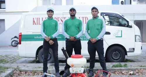 Killem Pest -Termite Control Singapore