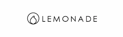 Lemonade - Web Design Singapore