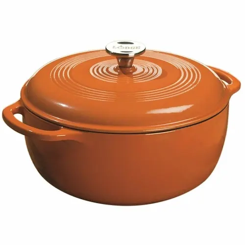 Lodge Enameled Cast Iron 6 Quart - Dutch Oven Singapore (Credit: Amazon SG)   