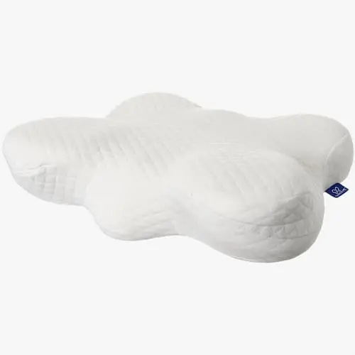 Lofty Butterfly Pillow  - Best Pillow in Singapore