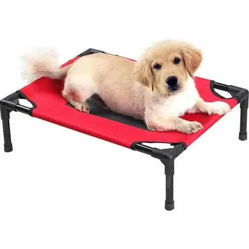 MrFluffy Elevated Pet Cot - Dog Beds Singapore