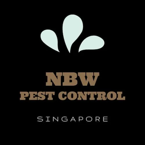  NBW Pest Control - Pest Control Singapore (Credit: NBW Pest Control)  