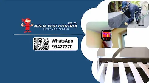 Ninja Pest Control - Bed Bug Exterminator Singapore